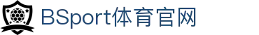 必一·运动(B-Sports)官方网站